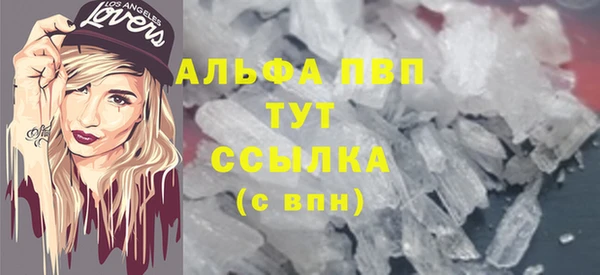 PSILOCYBIN Карпинск