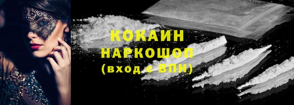 шишки Каменногорск