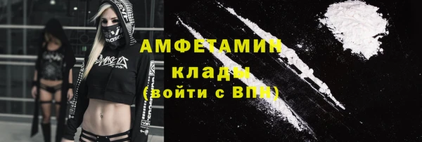 шишки Каменногорск