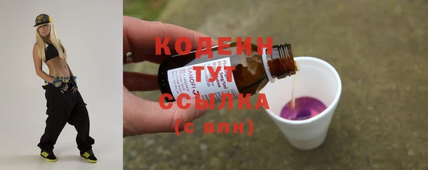 шишки Каменногорск