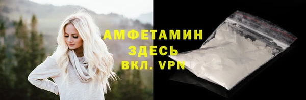 шишки Каменногорск