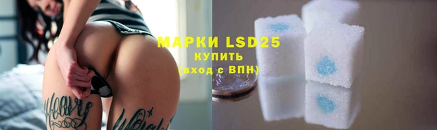 шишки Каменногорск