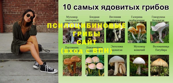 а пвп мука Иннополис