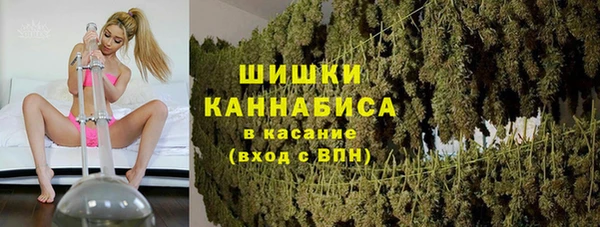 хмурый Каменка