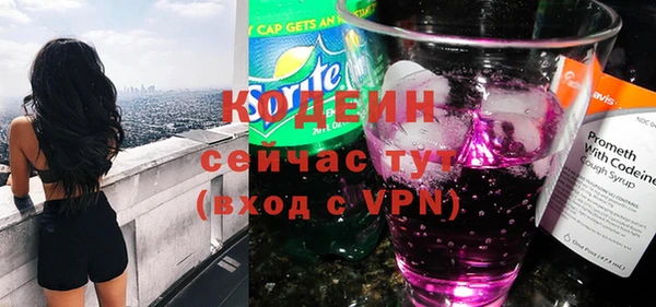 шишки Каменногорск