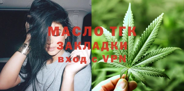 шишки Каменногорск