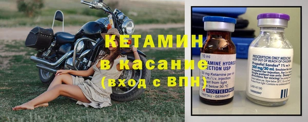 хмурый Каменка