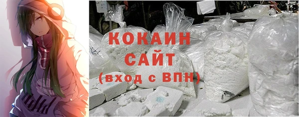 шишки Каменногорск