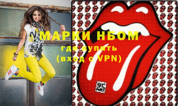 хмурый Каменка