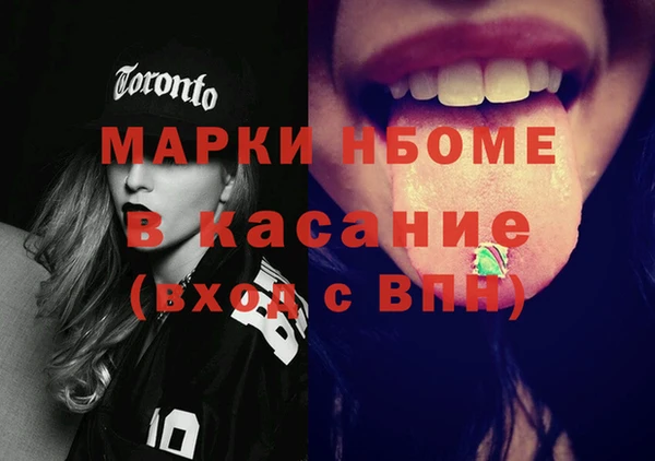 шишки Каменногорск