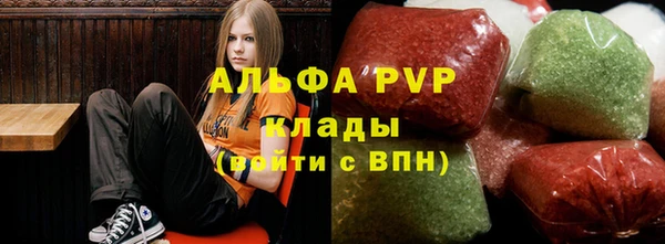 шишки Каменногорск