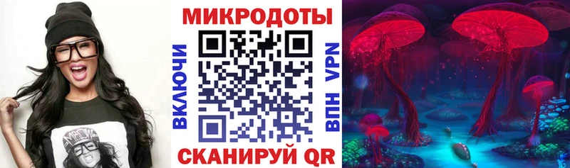 наркотики  блэк спрут ТОР  Псилоцибиновые грибы MAGIC MUSHROOMS  Жуковский 